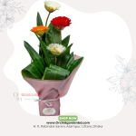 Multicolor Gerbera Stick Bouquet