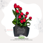 Red Rose Premium Fresh Flower Bag