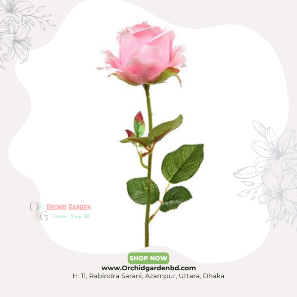 Baby Pink Chinese Rose 1 Piece