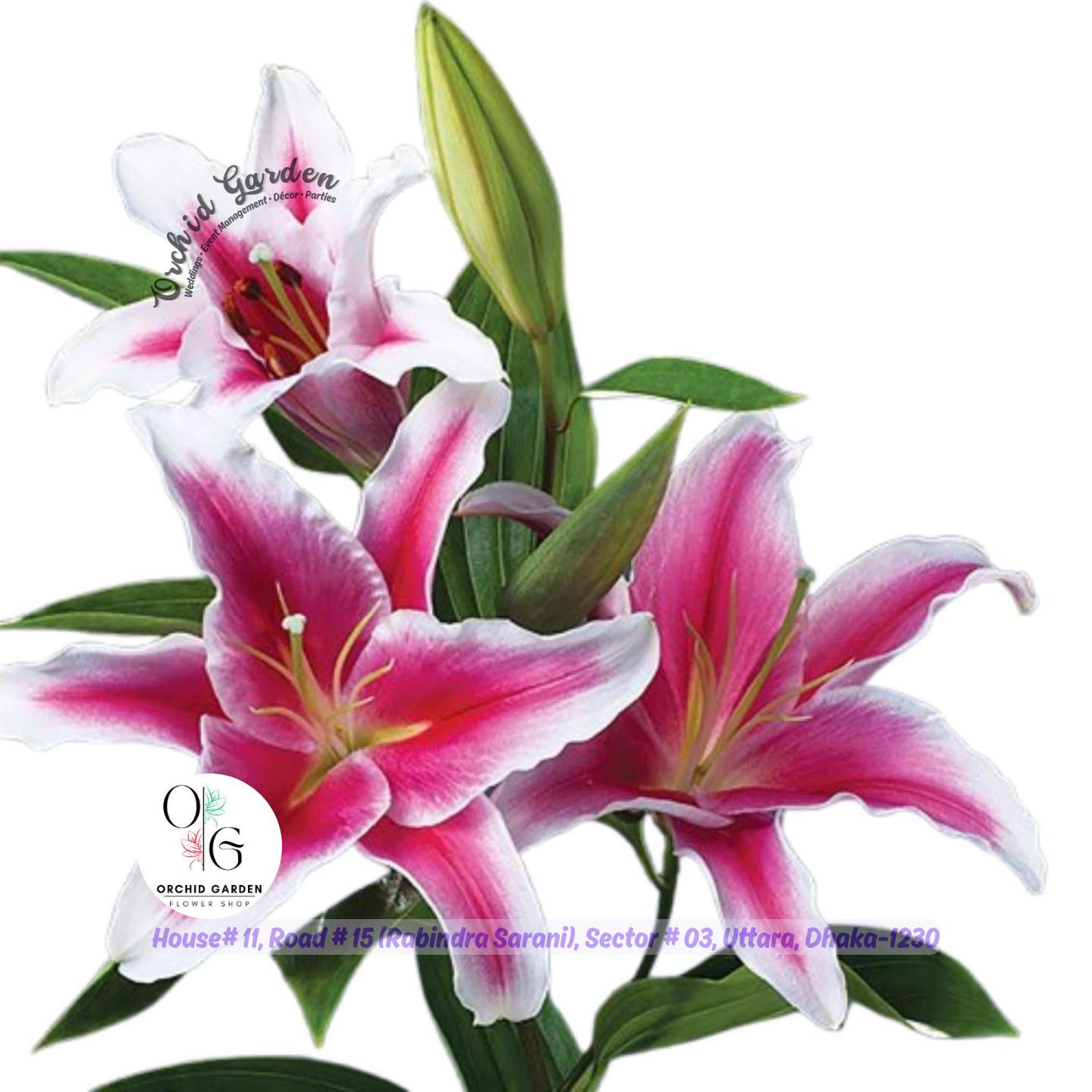 67a1c3d3769464eec757fba4.jpg Lily Flower Stick 1 Piece - Image 1