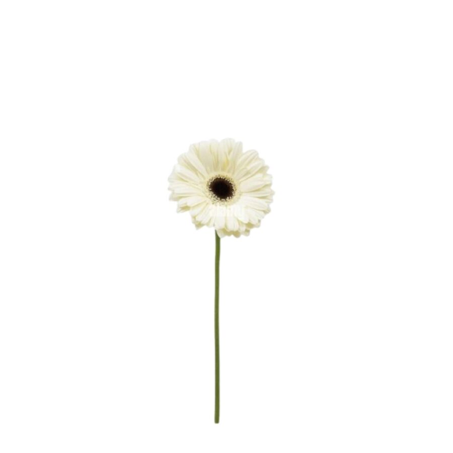 Gerbera Flower White 1 Piece