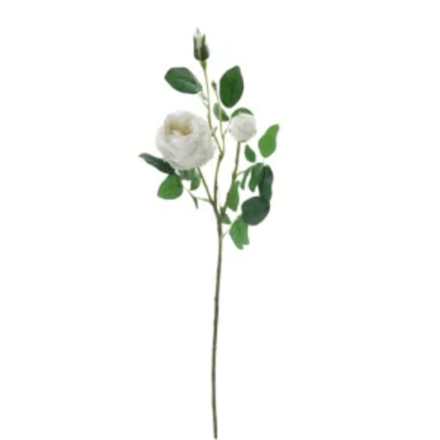 White Chinese Rose 1 Piece