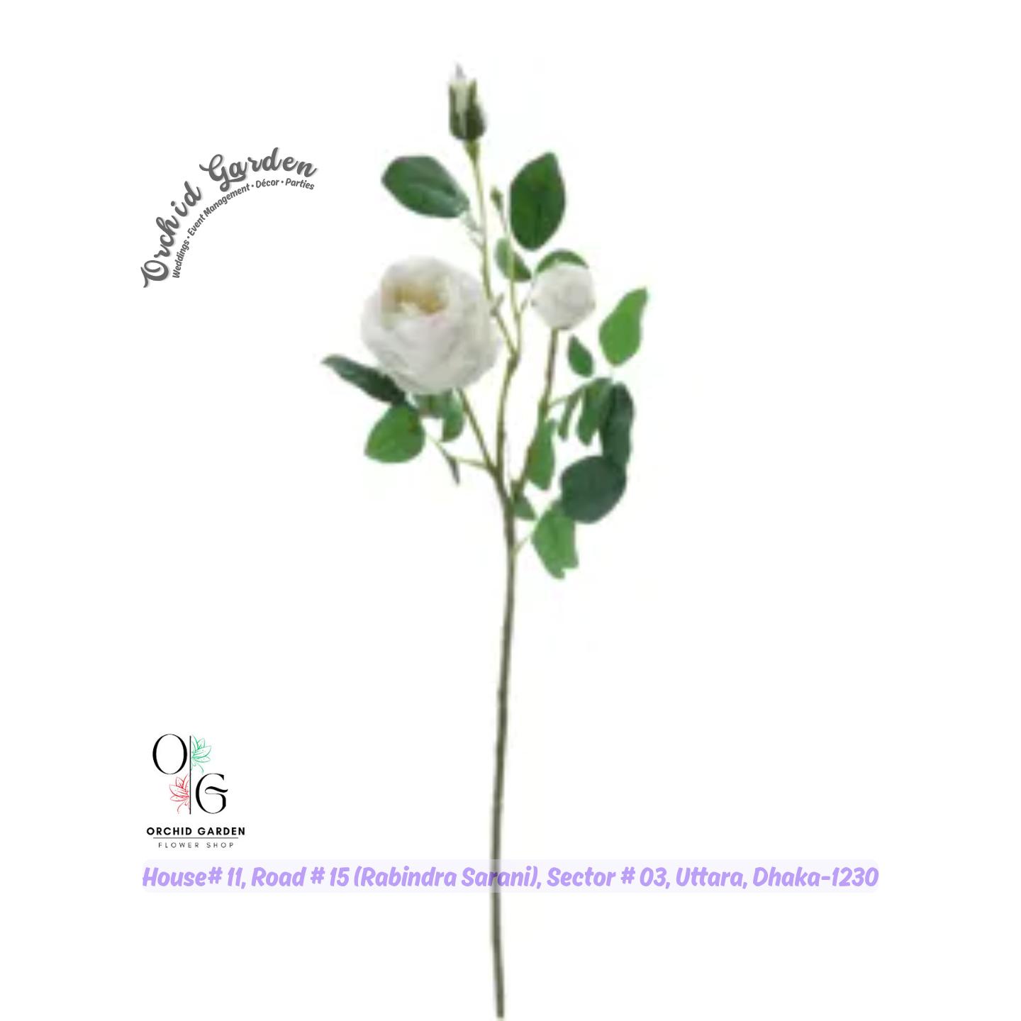 67a1c4bf769464eec757fbd6.jpg White Chinese Rose 1 Piece - Image 1