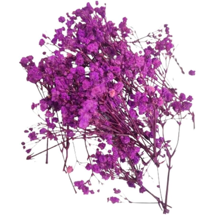 Gypsy Flower Purple 1 Piece