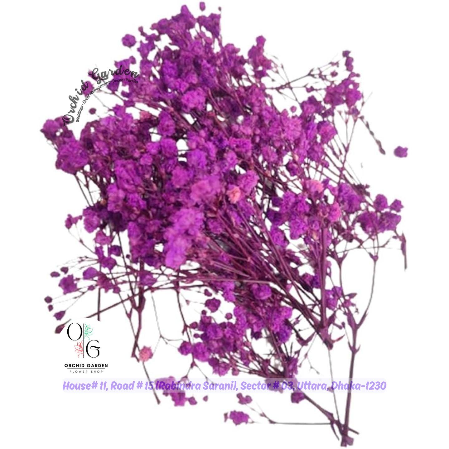 67a1cfe113a05b28c79c7fe6.jpg Gypsy Flower Purple 1 Piece - Image 1