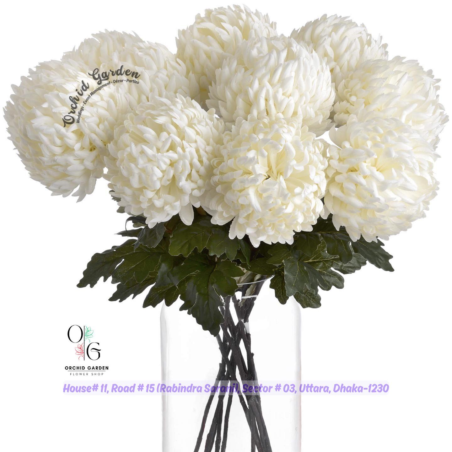 67a1d1d6769464eec757fca8.jpg Chrysanthemum Stick White 1 Piece - Image 1