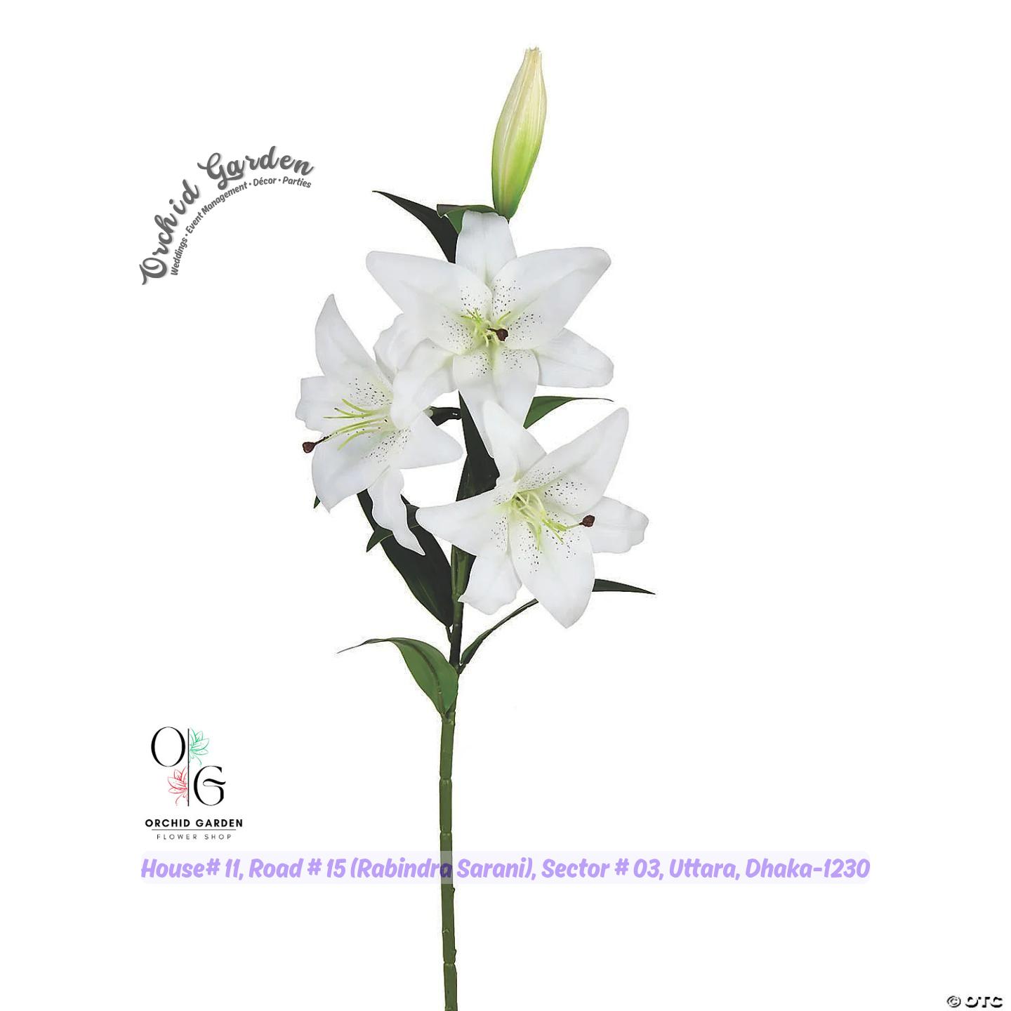 67a1d80913a05b28c79c807d.jpg White Lily Stick 1 Piece - Image 1