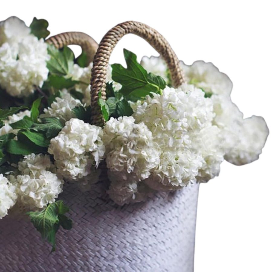 Snowball Flower 1 Bouquet