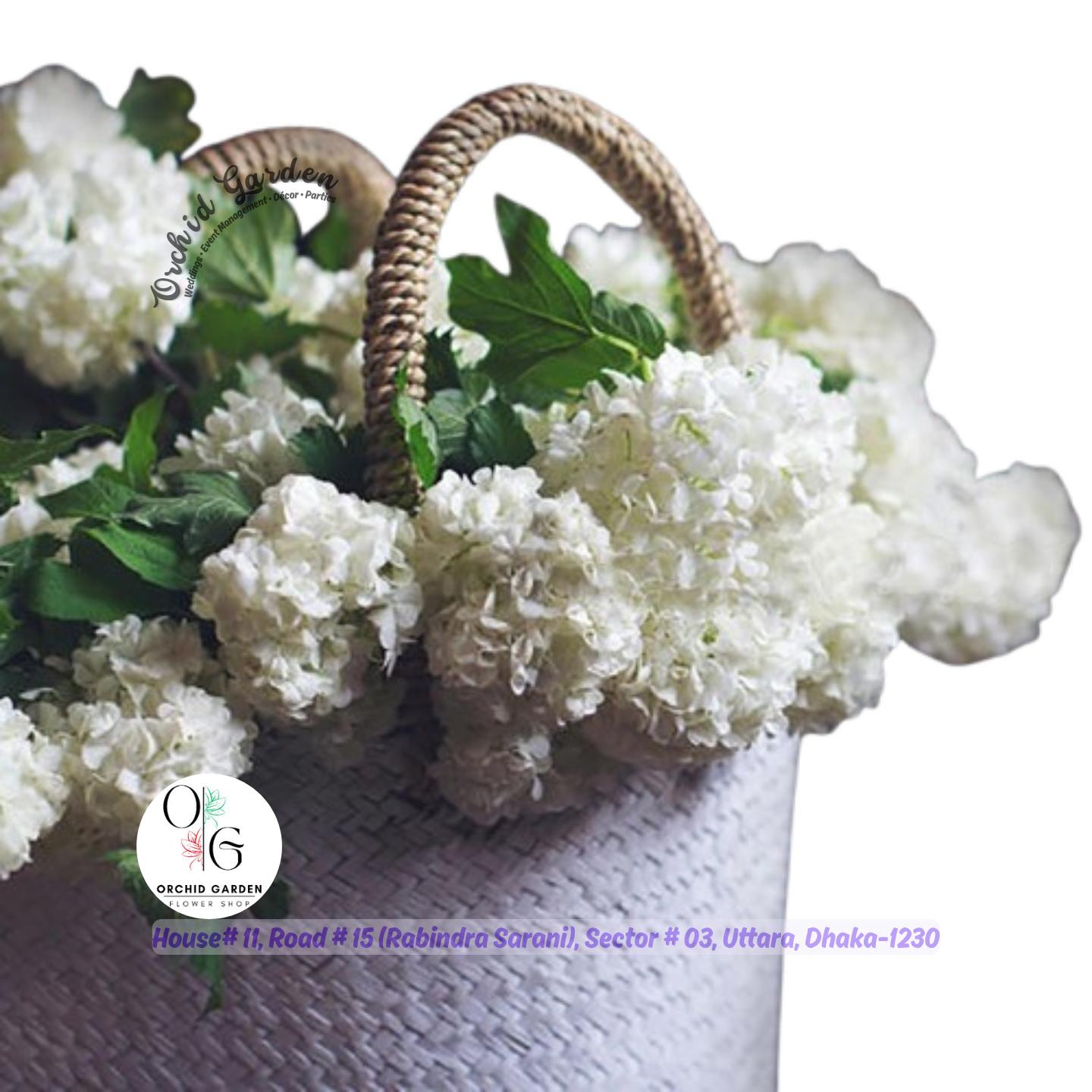 67a33be001a62215bafde180.jpg Snowball Flower 1 Bouquet - Image 1