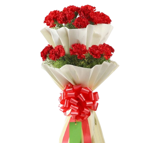 67a3506e01a62215bafde46b.png Carnation Bag 1 Bouquet - Image 1