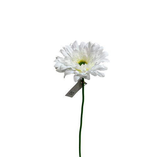 67a35a1fb23e474996c6fa16.jpg White Gerbera Flowers 1 Piece - Image 1