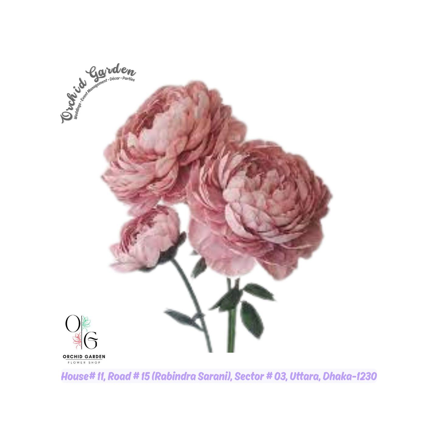 67ac535442b9d64e5e7d9e7e.jpg Pink Carnation Flower 1 Piece - Image 1