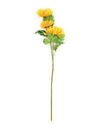 Chrysanthemum_1_Stick_Yellow.jpg Yellow Chrysanthemum Stick 1 Piece - Image 1