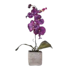 Curnnission_Flower_Purple_1pc.png Purple Carnation Flower 1 Piece - Image 1