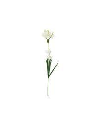 Lily_1_stick_white.jpg White Lily Stick 1 Piece - Image 1