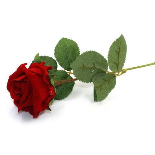 Local_Rose_Red_1pc.jpg Red Rose Local 1 Piece - Image 1