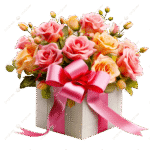 Gift & Combo Packs