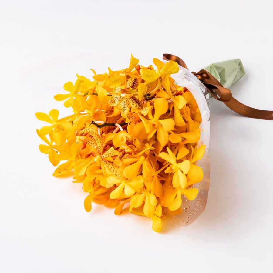 Chiyo Orchid 1 Bouquet