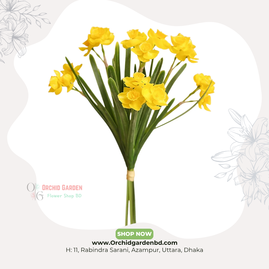 OGBD- (81) Yellow Mini Narcissus - Image 1